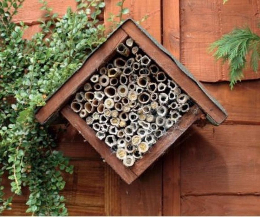A homemade bee hotel made of cardboard tubes