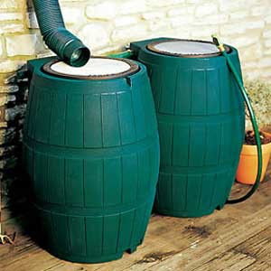 green rain barrels