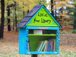 wood box on post labeled "little free library"