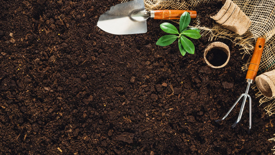 Gardening tools and plants on dirt