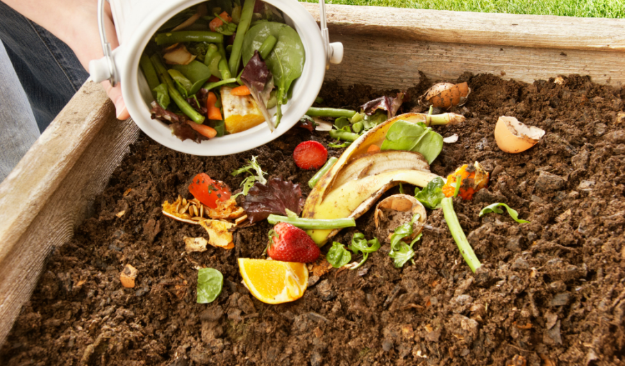 Adding food scraps to a compost