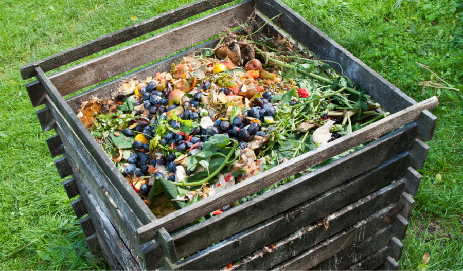 Compost pile with food waste.