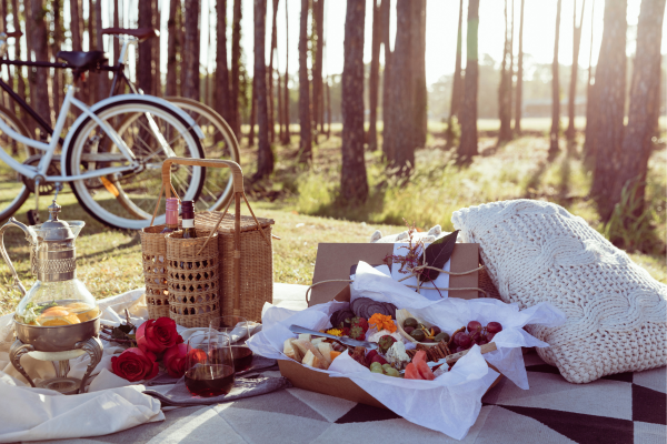 Picnic with roses and bicycles.