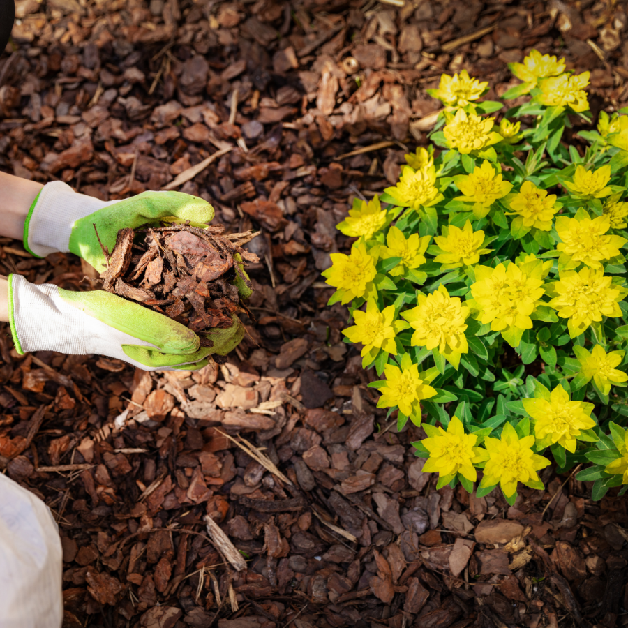 Person applying mulch to flowerbed