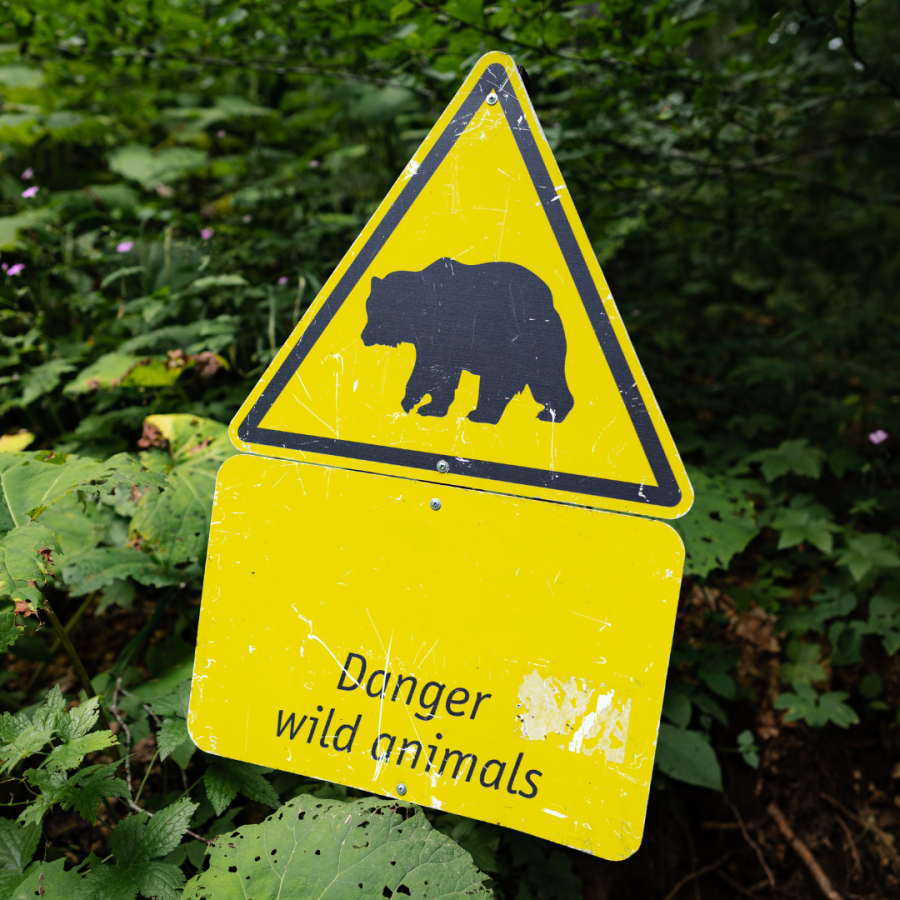 Danger wild animal sign 