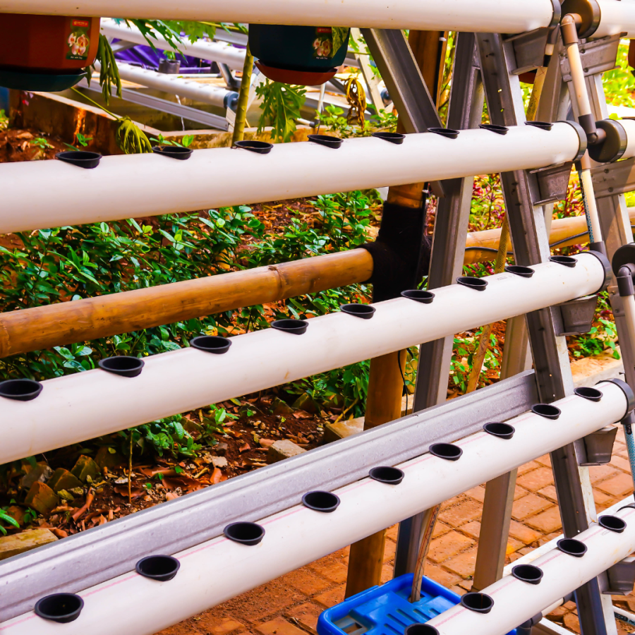 A-frame hydroponics systems using PVC pipes.