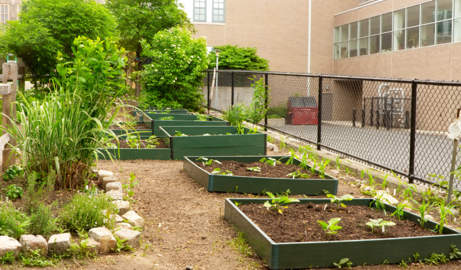 Environmental Benefits of Gardening