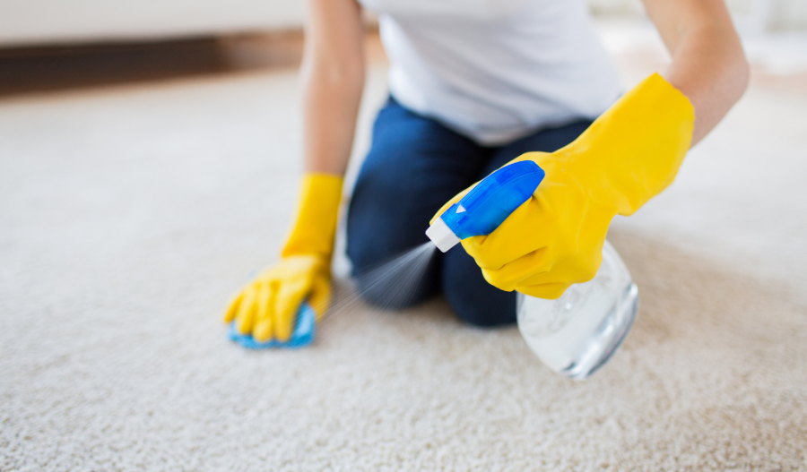 Using a spray to get out a carpet stain