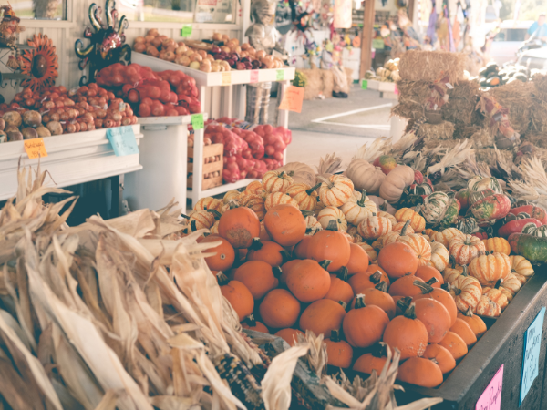 Fall Farmer's Market