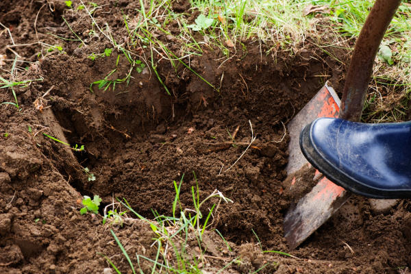 Person digging garden with shovel