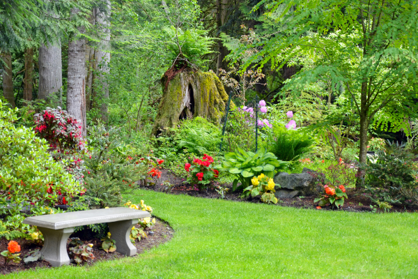 backyard garden