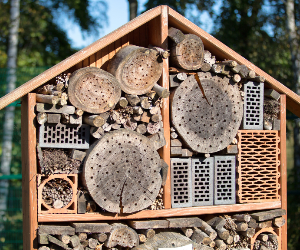 bug hotel and shelter