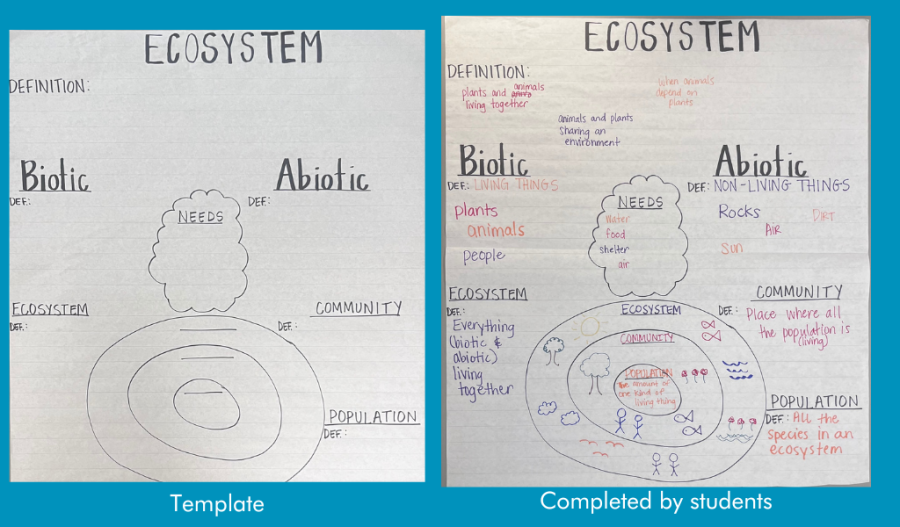 Ecosystems anchor chart