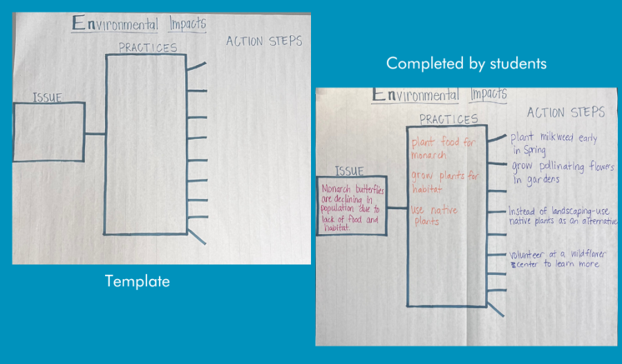 Environmental Impacts anchor chart