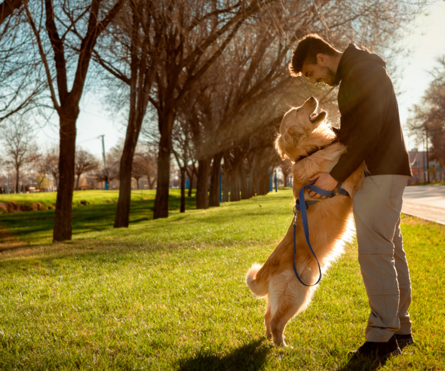 Man with his dog in a park.