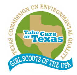 girl scouts pin