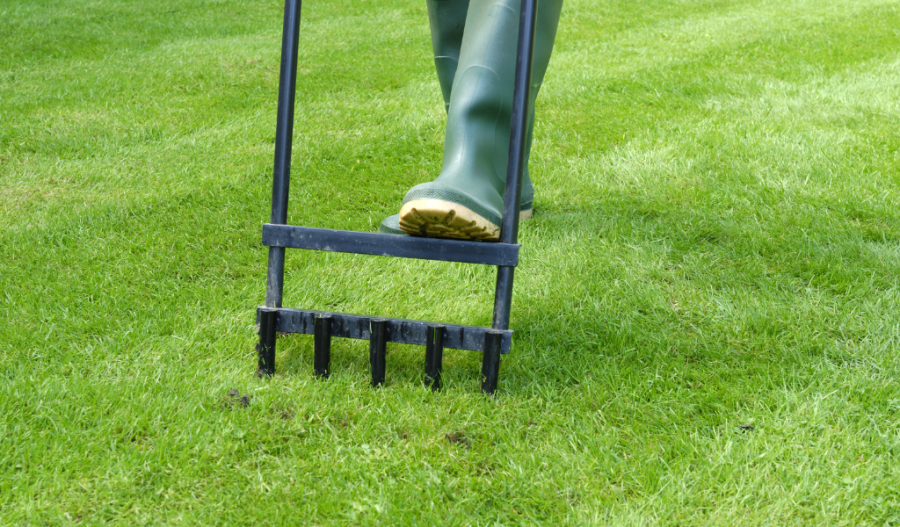 Aerating a lawn
