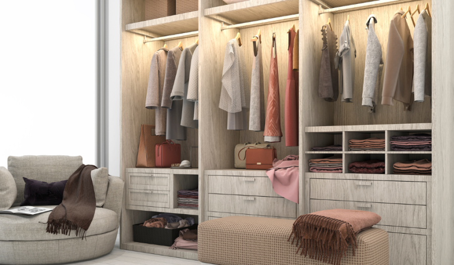 Closet showing minimal clothing