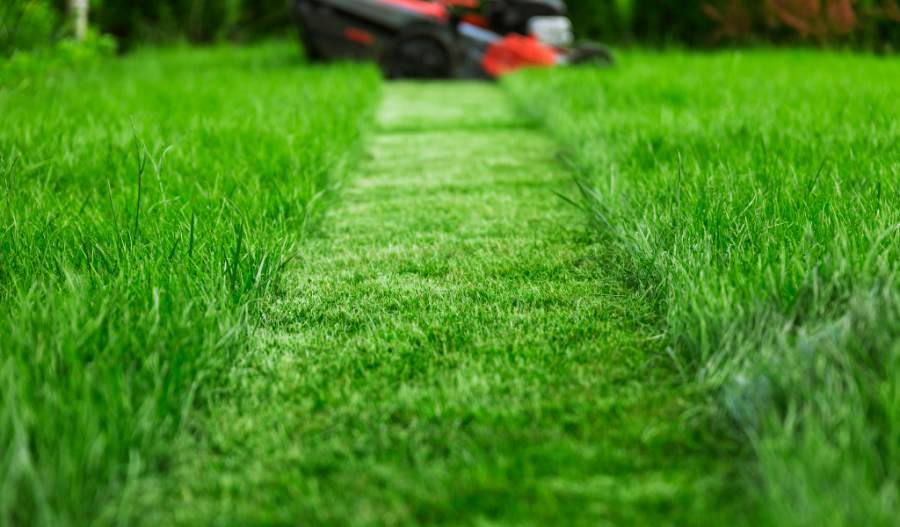 Lawn mowing