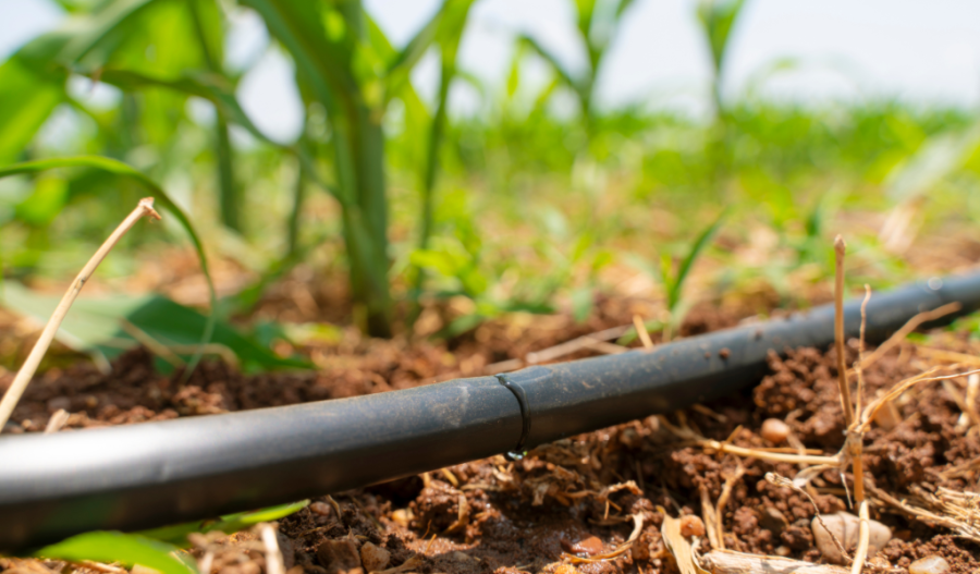 Sprinkler system