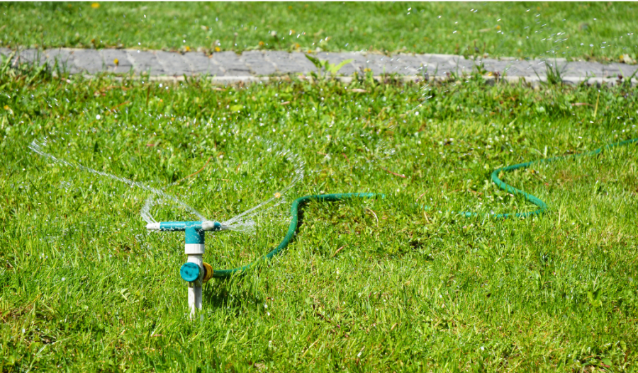 Watering a lawn