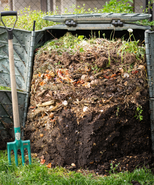 Compost Bin