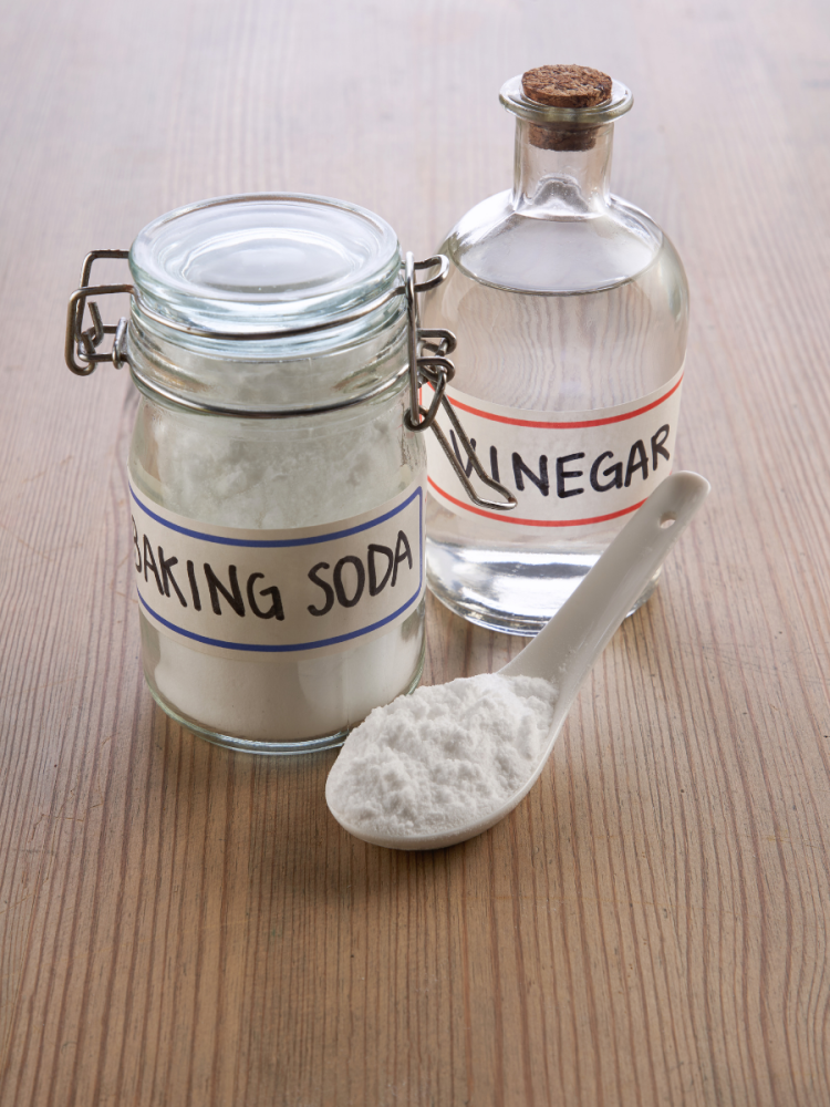 Container of baking soda and vinegar in a bottle.