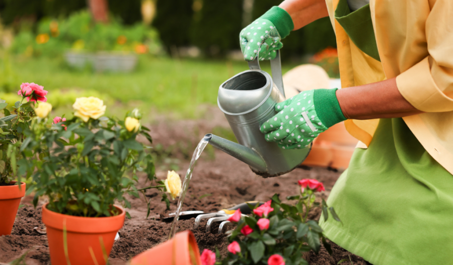 A person gardening