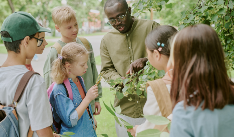 Teacher having students observe a plant.