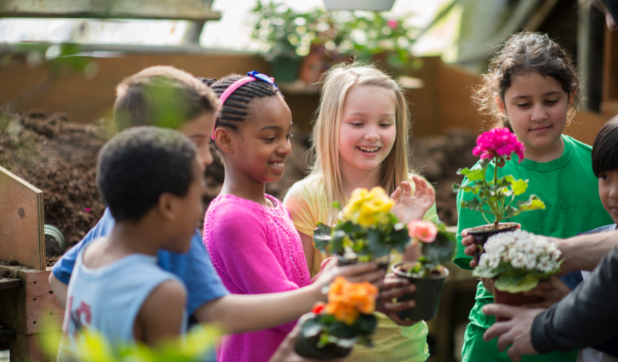 Students looking at flowers to plant.