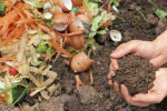 hands holding rich compost material