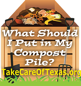 What should I put in my Compost Pile? Graphic