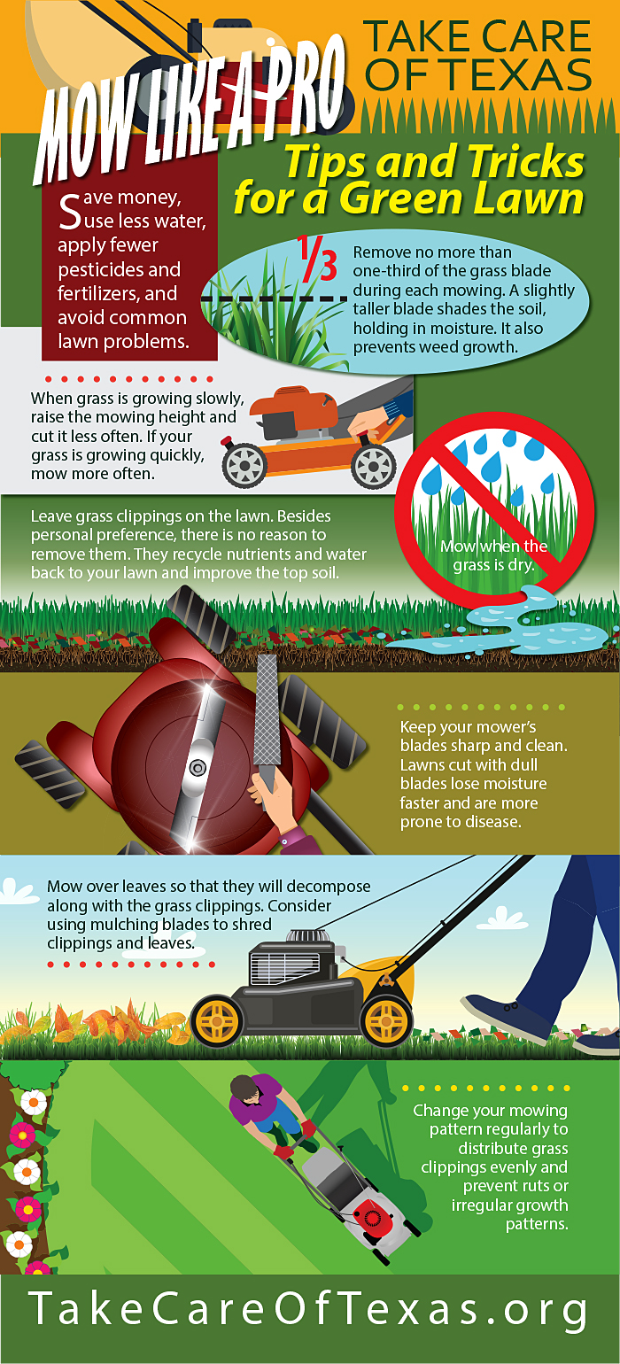 Lawn Care and Mowing Infographic