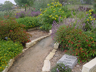 Xeriscape Landscape