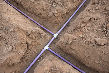purple graywater irrigation pipes 350x234.jpg